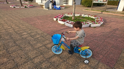 14日・ひとり温泉でゆっくり!