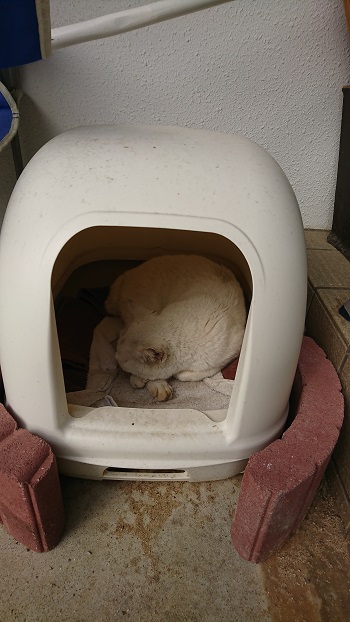 15日・ウミカジテラスで至福の時!