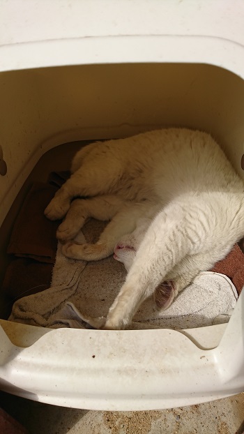 15日・ウミカジテラスで至福の時!