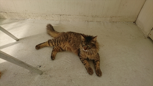 15日・ウミカジテラスで至福の時!