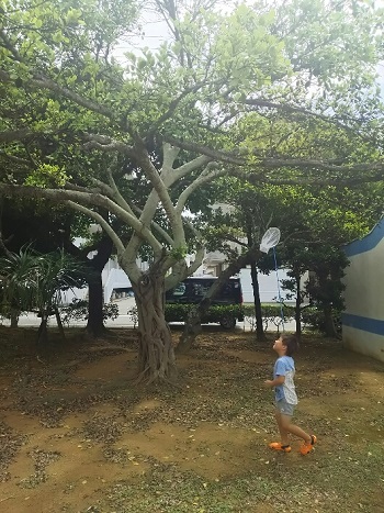 9日・雨でも公園!