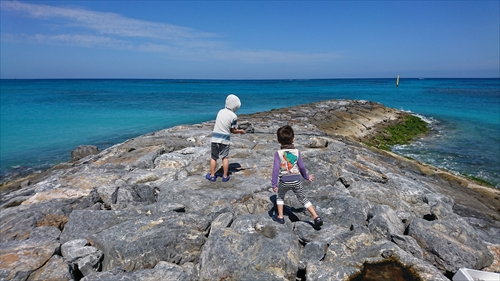 18日・結の浜公園がとっても良かった!