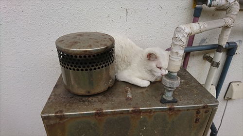 6日・GW11連休の最終日!