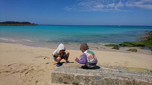 18日・結の浜公園がとっても良かった!