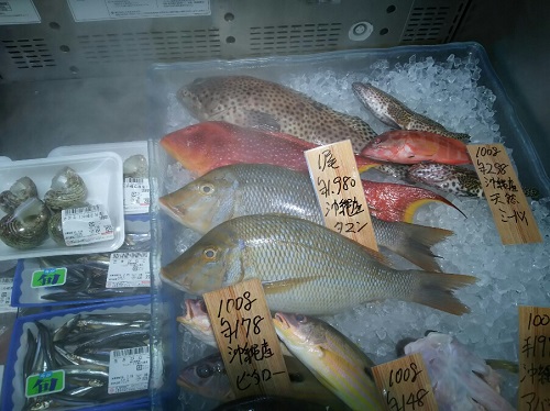 14日・3連休キャラバンの準備!