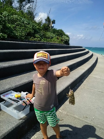 16日・第38回海洋博公園花火大会を伊江島から見た!