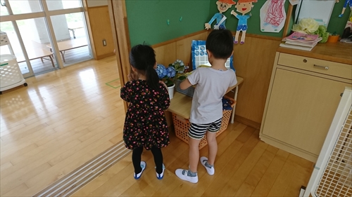 16日・沖縄が梅雨入りしました!