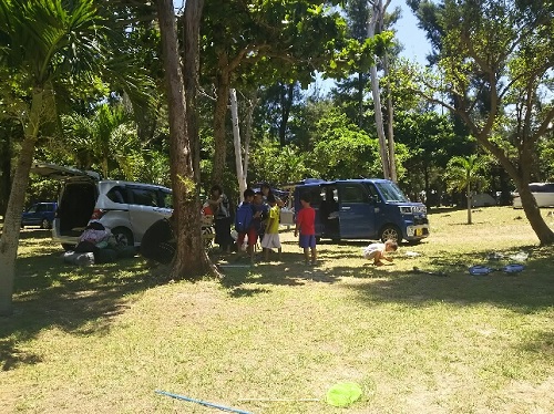 17日・伊江島でクワガタげっとん!