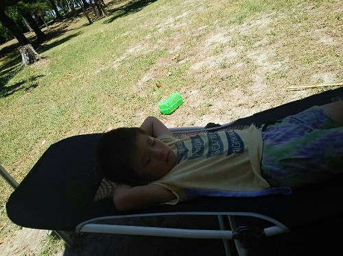 17日・伊江島でクワガタげっとん!