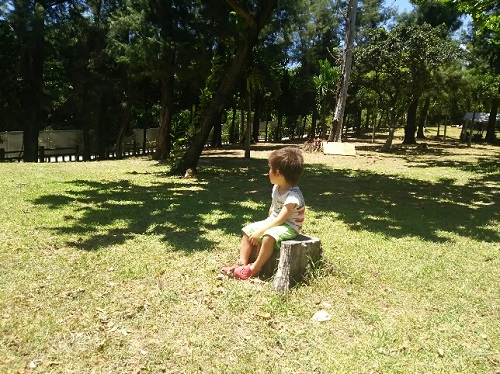 17日・伊江島でクワガタげっとん!