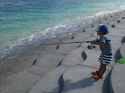 17日・伊江島でクワガタげっとん!