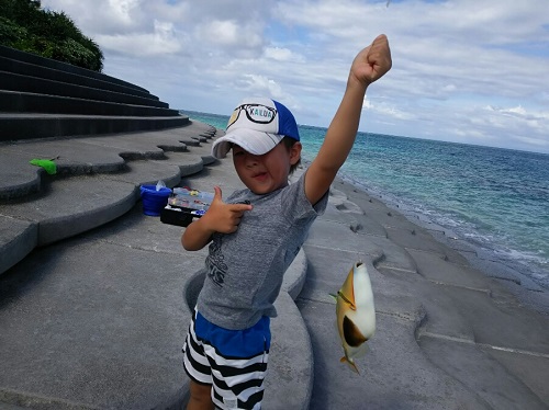 17日・伊江島でクワガタげっとん!