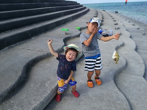 17日・伊江島でクワガタげっとん!