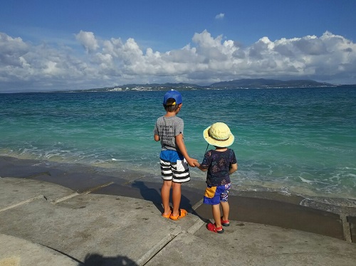 17日・伊江島でクワガタげっとん!