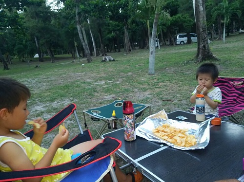 17日・伊江島でクワガタげっとん!