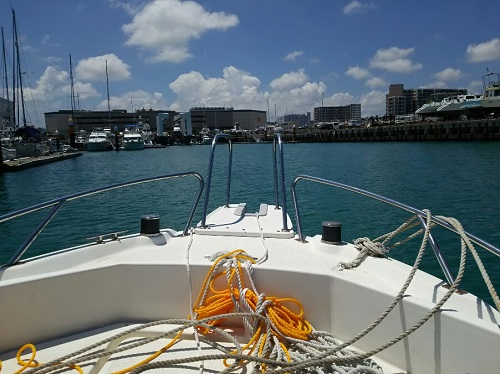 20日・車検と沖釣り!