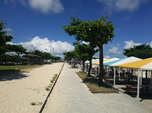 22日・引っ越しをします!