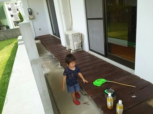 24日・公園と新居の庭と