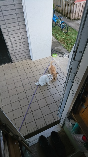 13日・ママがアルバイトを始めました!