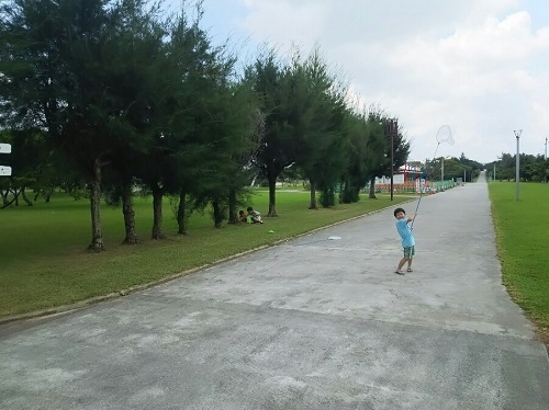 28日・沖縄キャンプをご賞味あれ!