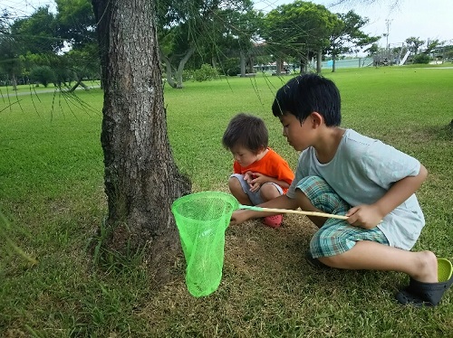 28日・沖縄キャンプをご賞味あれ!