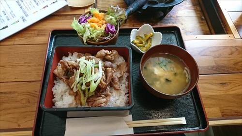 6日・2019年初素潜り!