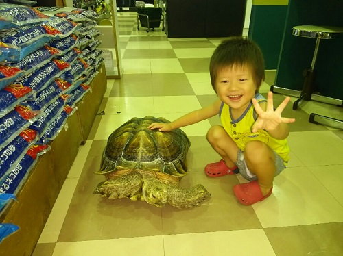 9日・免許の住所変更を。