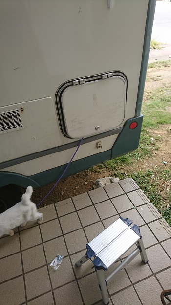 2日・次男と台風の後始末一式!