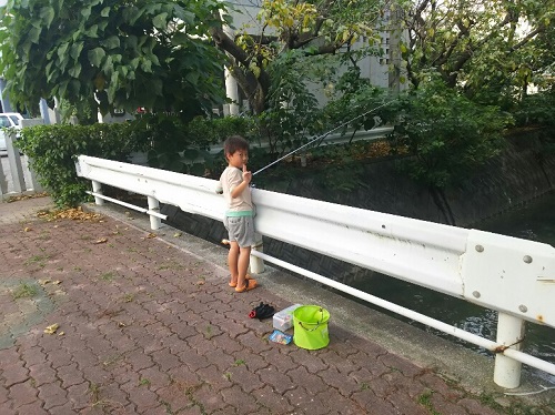 1日・九州キャラバン確定か?