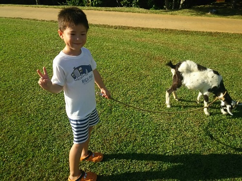 12日・琉球村カサラティーダ万座毛ビオスの丘!