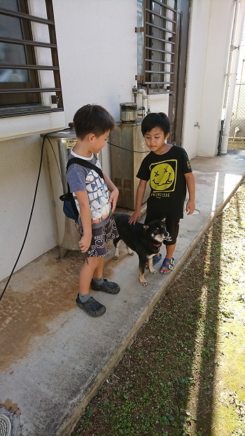 23日・迷子のくろいぬ!