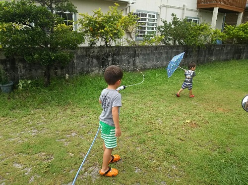 22日・庭があれば外出要らず!
