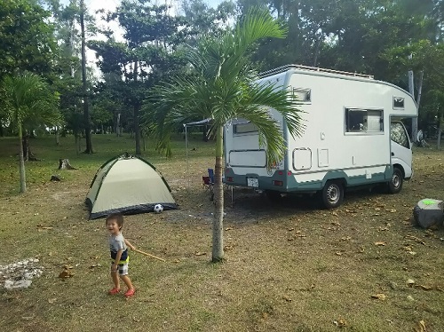 24日・オキナワトカゲを捕まえました!