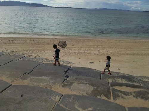 24日・オキナワトカゲを捕まえました!