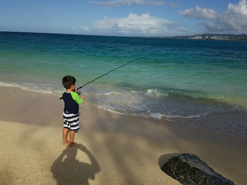 24日・オキナワトカゲを捕まえました!