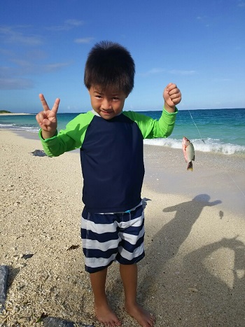 24日・オキナワトカゲを捕まえました!