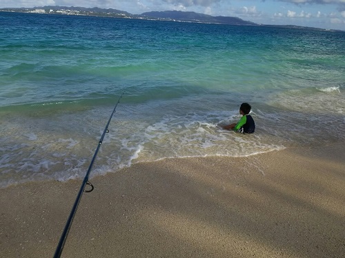 24日・オキナワトカゲを捕まえました!