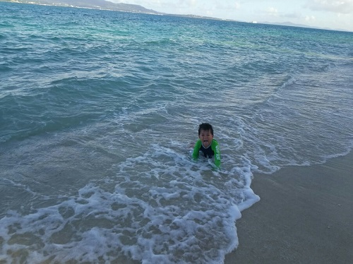 24日・オキナワトカゲを捕まえました!