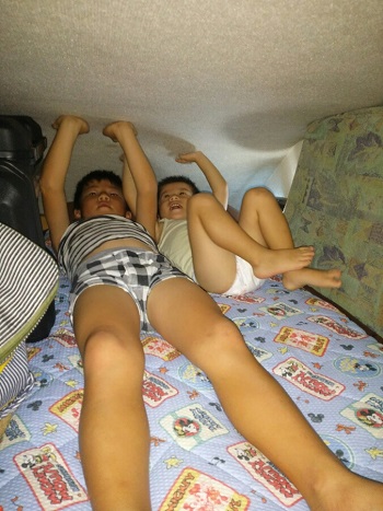 29日・バンクに作った自分専用ベッドに大喜び!