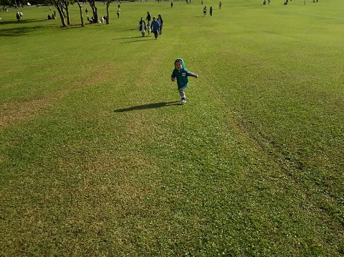 10日・わんこそばとさんさ踊りと小岩井農場!