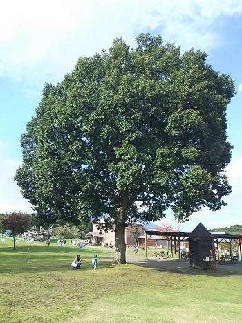 10日・わんこそばとさんさ踊りと小岩井農場!