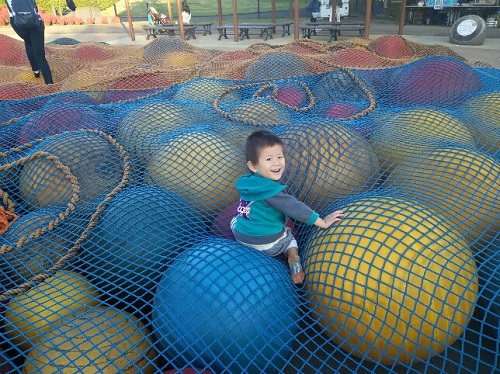 15日・みちのく公園で芋煮BBQ!