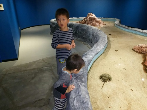 20日・アクアテラス錦が丘!