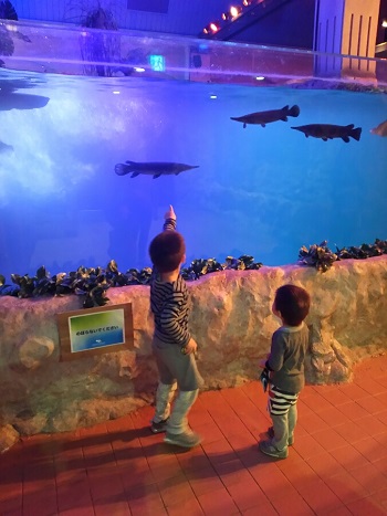 20日・アクアテラス錦が丘!