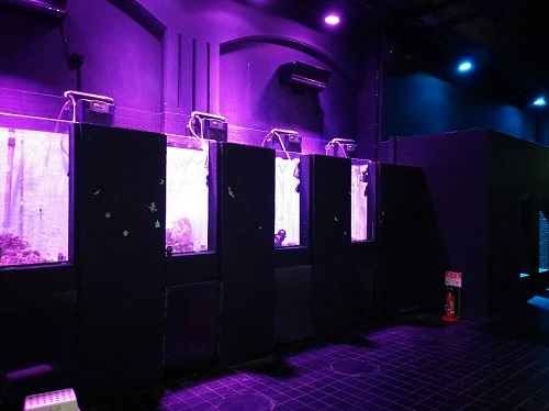 20日・アクアテラス錦が丘!