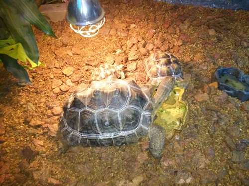 20日・アクアテラス錦が丘!