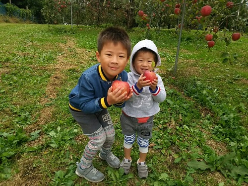 23日・山形でりんご狩り!