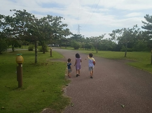 30日・マングローブジャックを釣る5歳児!