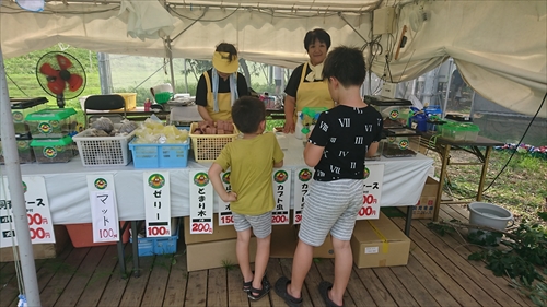 4日・カブトムシふれあい童夢!