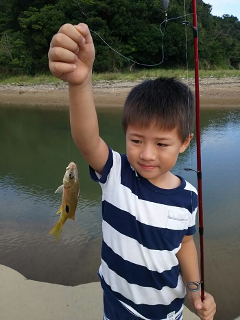 30日・マングローブジャックを釣る5歳児!